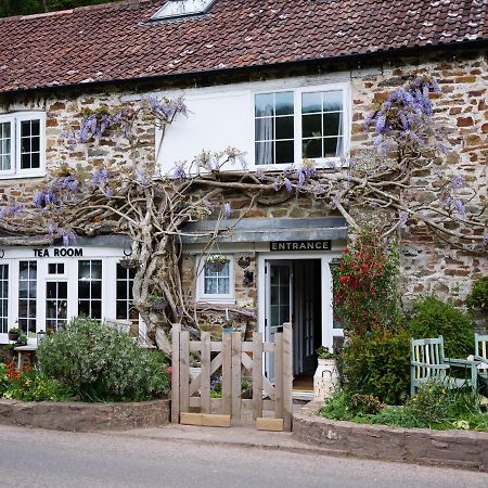 The Bark House Bed and Breakfast Oakford Exterior foto