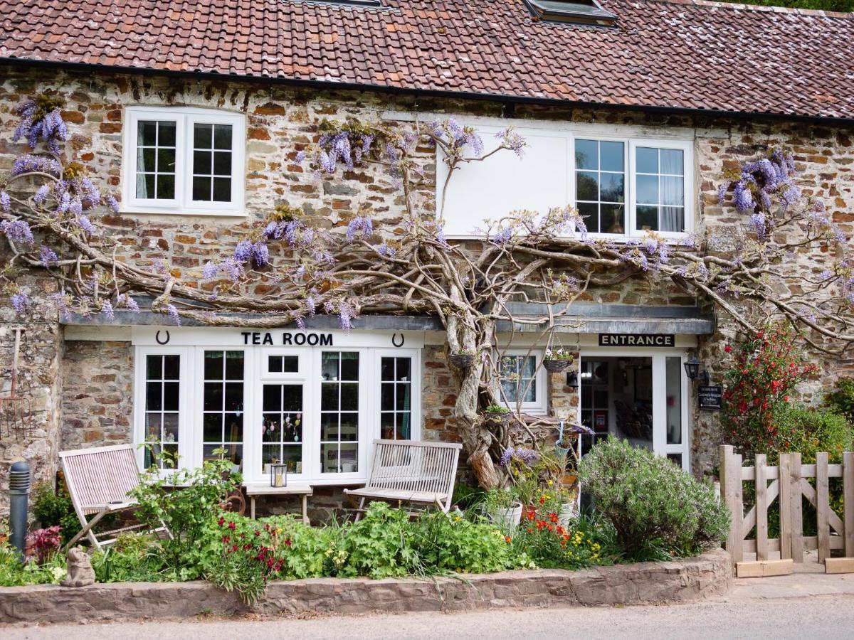 The Bark House Bed and Breakfast Oakford Exterior foto