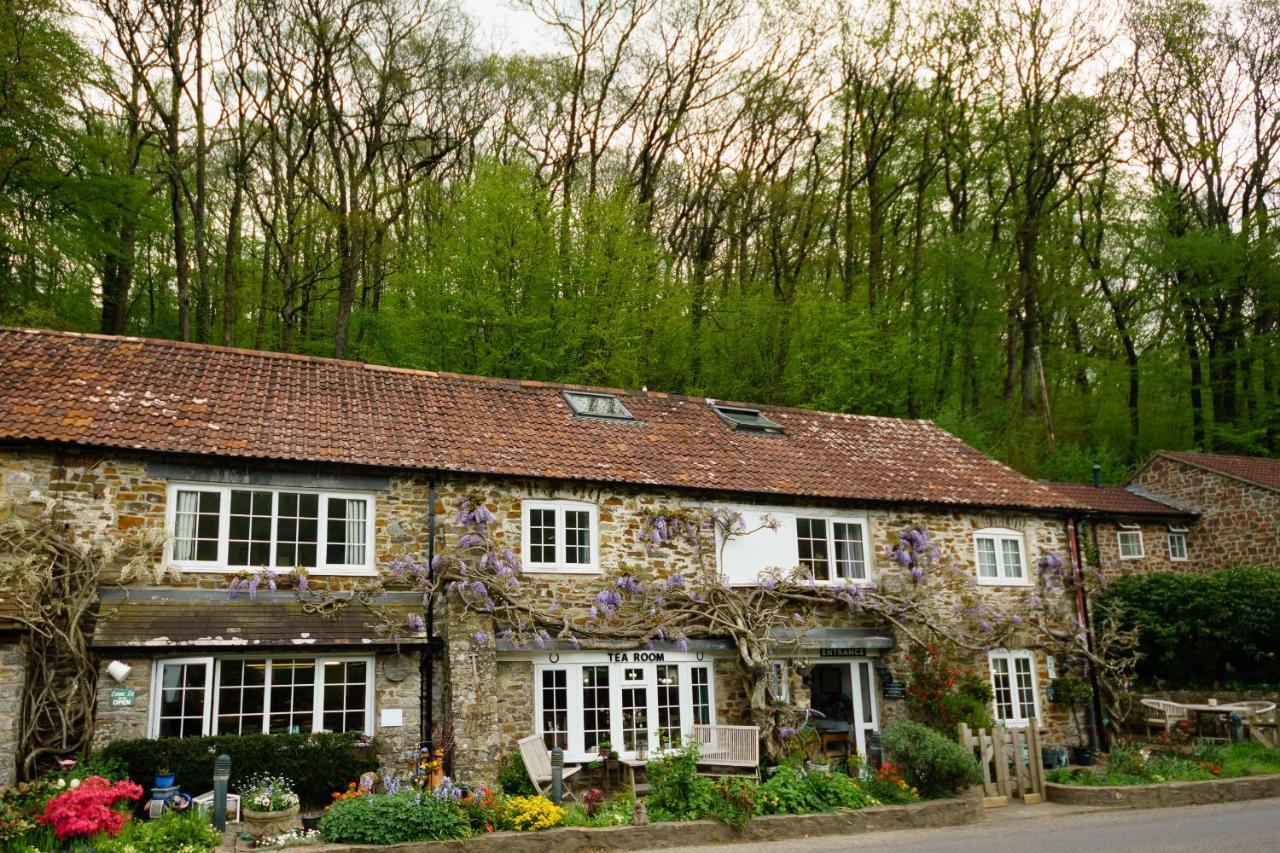 The Bark House Bed and Breakfast Oakford Exterior foto